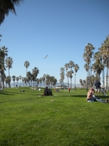Venice Beach Venice Beach