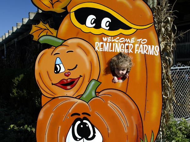 19. Halloween At the End of October we went to the Remlinger Farms, where Shira had great time with Yaeli and Abigail. Shira enjoyed...
